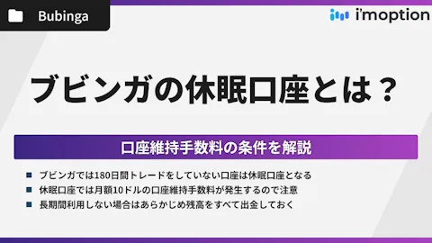 ブビンガの休眠口座とは？口座維持手数料の条件を解説！
